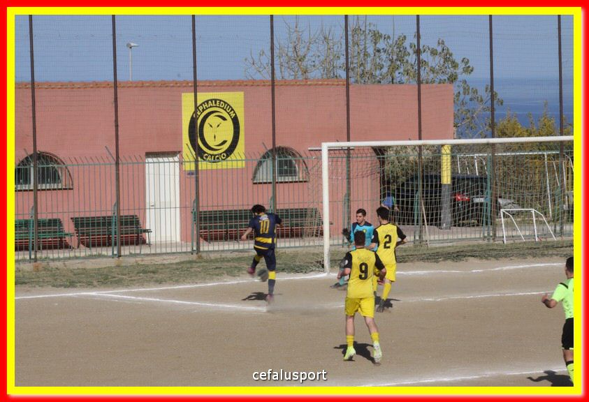 200301 Cepha_Mazara 058.jpg